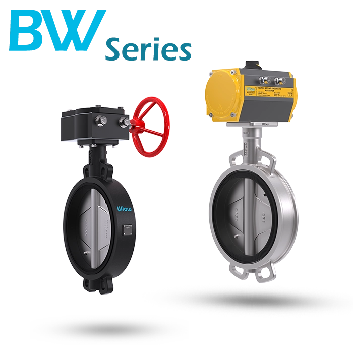 BW Series Wafer Type