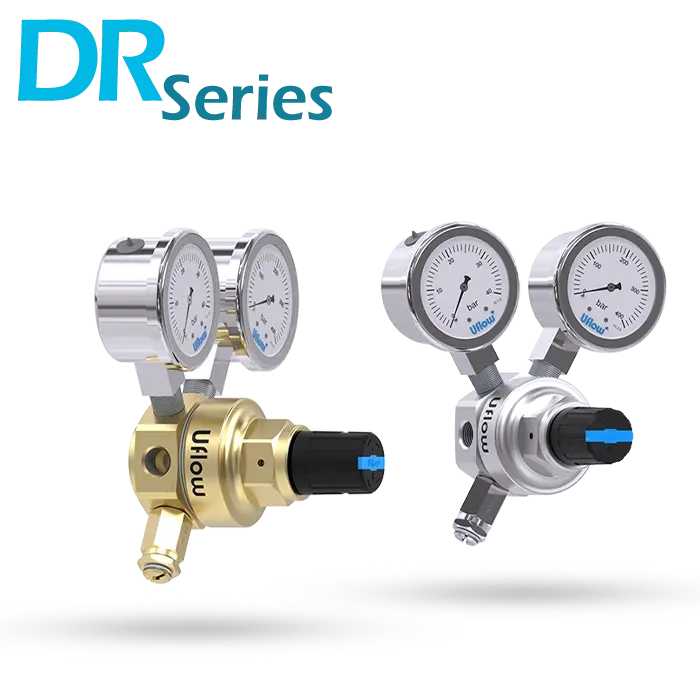 BL Series Lug Type